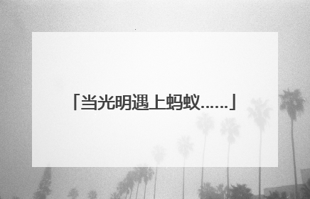 当光明遇上蚂蚁……