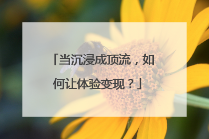 当沉浸成顶流，如何让体验变现？