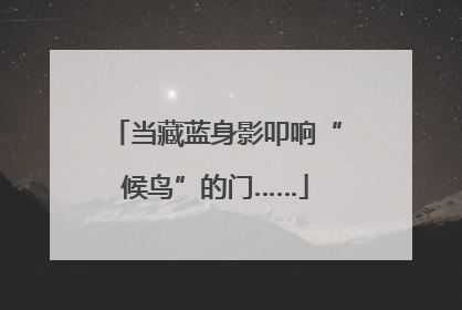 当藏蓝身影叩响“候鸟”的门……