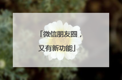 微信朋友圈，又有新功能