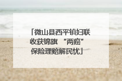 微山县西平镇妇联收获锦旗 “两癌”保险理赔解民忧