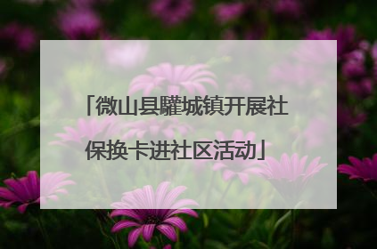 微山县驩城镇开展社保换卡进社区活动