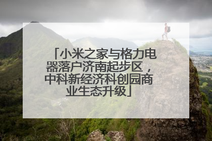 小米之家与格力电器落户济南起步区，中科新经济科创园商业生态升级