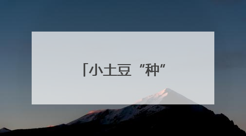 小土豆“种”出共富新图景