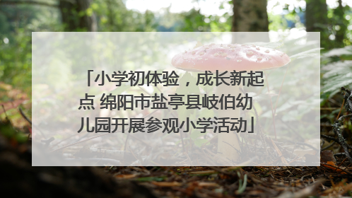 小学初体验，成长新起点 绵阳市盐亭县岐伯幼儿园开展参观小学活动