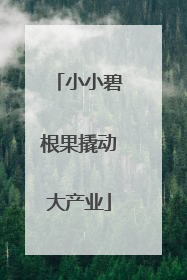 小小碧根果撬动大产业