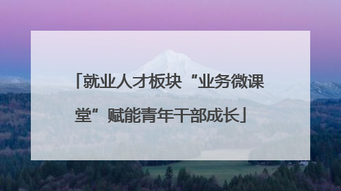 就业人才板块“业务微课堂”赋能青年干部成长