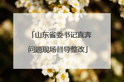 山东省委书记直奔问题现场督导整改