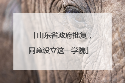 山东省政府批复，同意设立这一学院