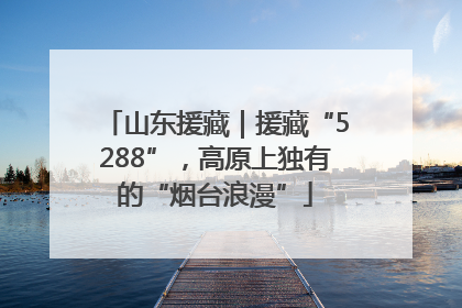 山东援藏｜援藏“5288”，高原上独有的“烟台浪漫”