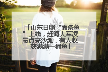 山东日照“面条鱼”上线，赶海大军凌晨点亮沙滩，有人收获满满一桶鱼
