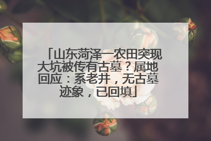 山东菏泽一农田突现大坑被传有古墓？属地回应：系老井，无古墓迹象，已回填