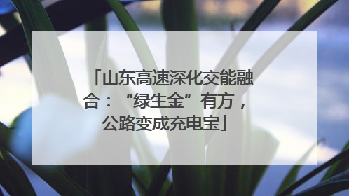 山东高速深化交能融合：“绿生金”有方，公路变成充电宝