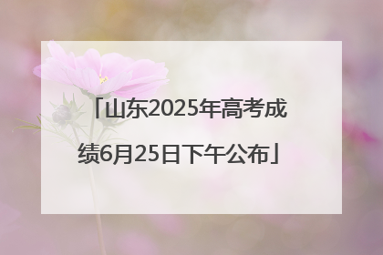 山东2025年高考成绩6月25日下午公布