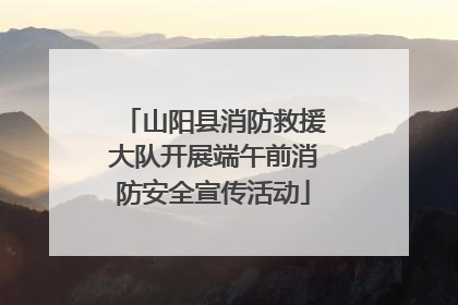 山阳县消防救援大队开展端午前消防安全宣传活动