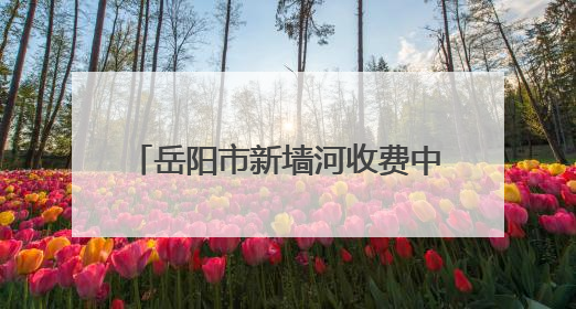岳阳市新墙河收费中心为民服务暖人心