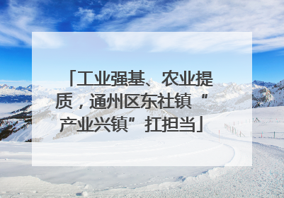工业强基、农业提质，通州区东社镇“产业兴镇”扛担当