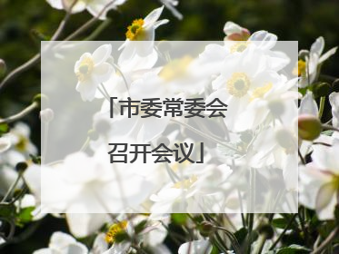 市委常委会召开会议