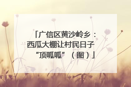 广信区黄沙岭乡：西瓜大棚让村民日子“顶呱呱”（图）