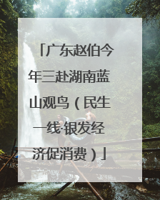广东赵伯今年三赴湖南蓝山观鸟（民生一线·银发经济促消费）