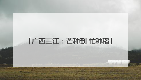 广西三江：芒种到 忙种稻