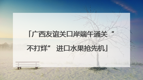 广西友谊关口岸端午通关“不打烊” 进口水果抢先机
