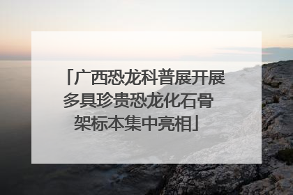 广西恐龙科普展开展 多具珍贵恐龙化石骨架标本集中亮相