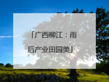 广西柳江：雨后产业田园美