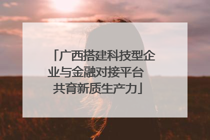 广西搭建科技型企业与金融对接平台 共育新质生产力