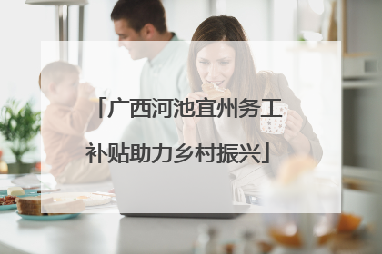 广西河池宜州务工补贴助力乡村振兴