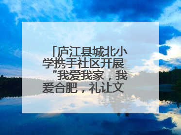 庐江县城北小学携手社区开展“我爱我家，我爱合肥，礼让文明”实践活动