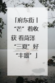 府东街丨“芒”着收获 看菏泽“三夏”好“丰景”