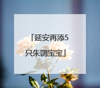 延安再添5只朱鹮宝宝