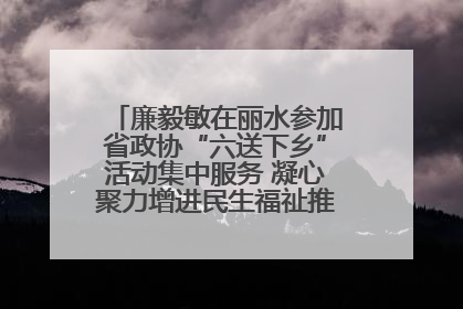 廉毅敏在丽水参加省政协“六送下乡”活动集中服务 凝心聚力增进民生福祉推进共同富裕