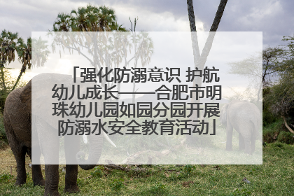 强化防溺意识 护航幼儿成长——合肥市明珠幼儿园如园分园开展防溺水安全教育活动