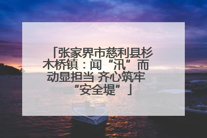 张家界市慈利县杉木桥镇：闻“汛”而动显担当 齐心筑牢“安全堤”