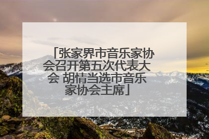 张家界市音乐家协会召开第五次代表大会 胡情当选市音乐家协会主席