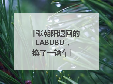 张朝阳退回的LABUBU，换了一辆车