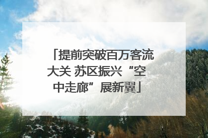 提前突破百万客流大关 苏区振兴“空中走廊”展新翼