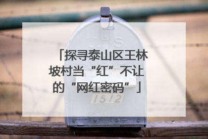 探寻泰山区王林坡村当“红”不让的“网红密码”