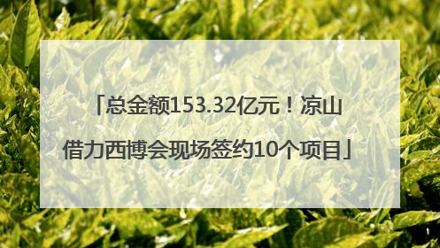 总金额153.32亿元！凉山借力西博会现场签约10个项目