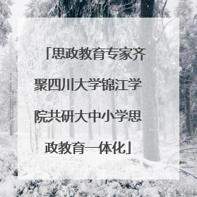 思政教育专家齐聚四川大学锦江学院共研大中小学思政教育一体化