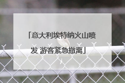 意大利埃特纳火山喷发 游客紧急撤离