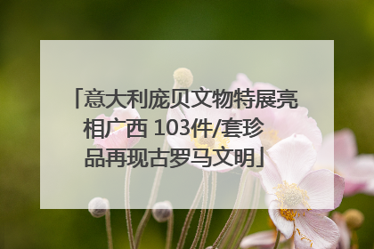 意大利庞贝文物特展亮相广西 103件/套珍品再现古罗马文明