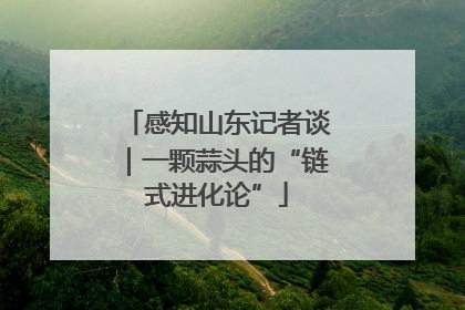 感知山东记者谈｜一颗蒜头的“链式进化论”