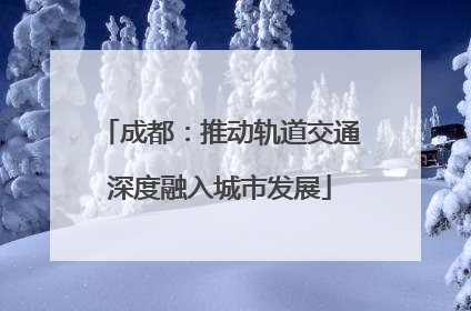 成都：推动轨道交通深度融入城市发展