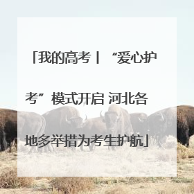 我的高考丨“爱心护考”模式开启 河北各地多举措为考生护航