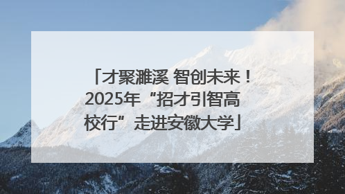才聚濉溪 智创未来！2025年“招才引智高校行”走进安徽大学