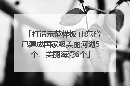 打造示范样板 山东省已建成国家级美丽河湖5个、美丽海湾6个