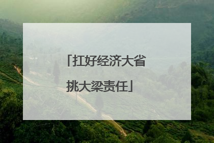 扛好经济大省挑大梁责任
